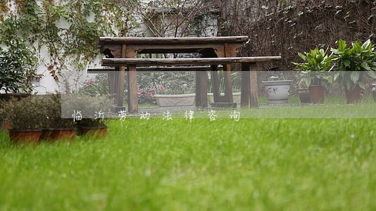 临沂劳动法律咨询 临沂劳动法律咨询