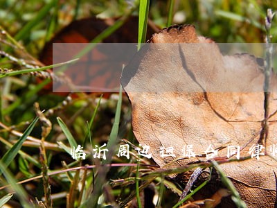 临沂周边担保合同律师团队 临沂周边担保合同律师团队