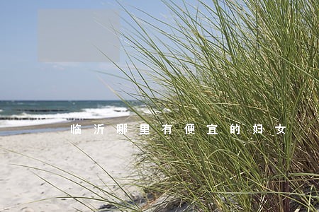 临沂哪里有便宜的妇女 临沂哪里有便宜的妇女
