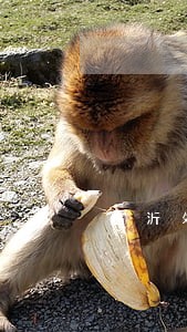 临沂处理合同纠纷律师 临沂处理合同纠纷律师