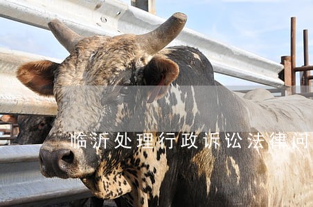 临沂处理行政诉讼法律问题律师 临沂处理行政诉讼法律问题律师