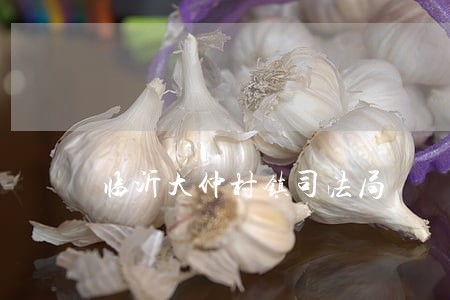 临沂大仲村镇司法局 临沂大仲村镇司法局