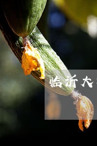 临沂大学法规处李中国 临沂大学法规处李中国