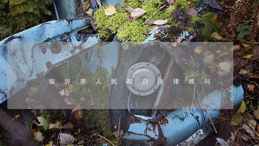 临沂市人民政府法律顾问 临沂市人民政府法律顾问