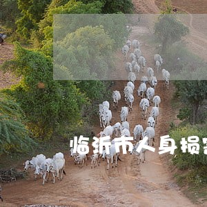 临沂市人身损害律师 临沂市人身损害律师