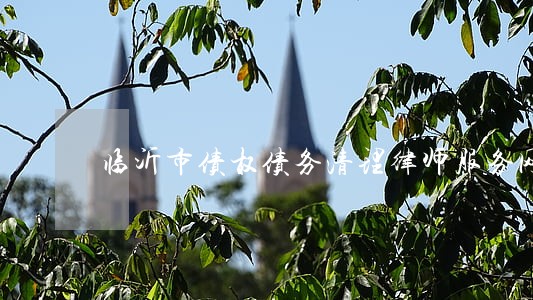 临沂市债权债务清理律师服务网站 临沂市债权债务清理律师服务网站