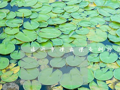 临沂市债权债务纠纷律师大概多少 临沂市债权债务纠纷律师大概多少