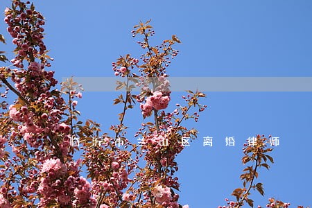 临沂市兰山区离婚律师 临沂市兰山区离婚律师