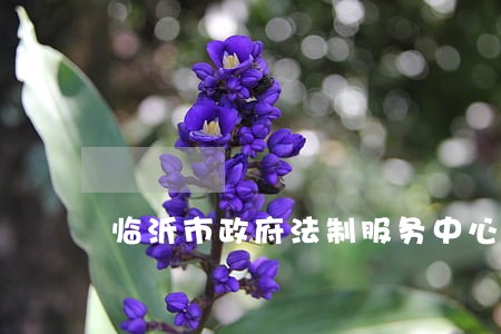 临沂市政府法制服务中心 临沂市政府法制服务中心