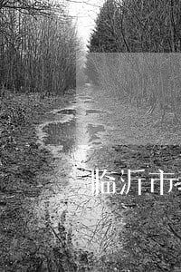 临沂市教育培训合同纠纷律师 临沂市教育培训合同纠纷律师