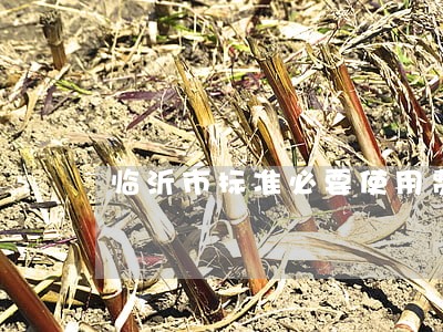 临沂市标准必要使用费纠纷律师