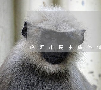 临沂市民事债务纠纷律师推荐 临沂市民事债务纠纷律师推荐