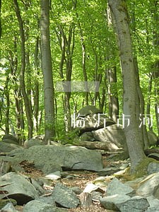 临沂市河东区怎么样 临沂市河东区怎么样