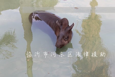 临沂市河东区法律援助 临沂市河东区法律援助