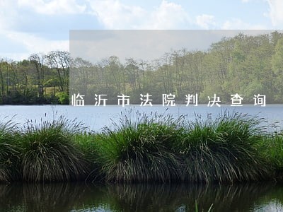 临沂市法院判决查询 临沂市法院判决查询