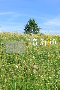 临沂市法院副庭长王登峰