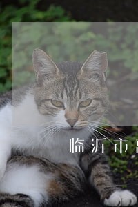 临沂市离婚律师六 临沂市离婚律师六
