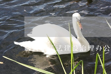 临沂市违法建设治理办公室