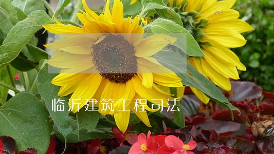临沂建筑工程司法 临沂建筑工程司法