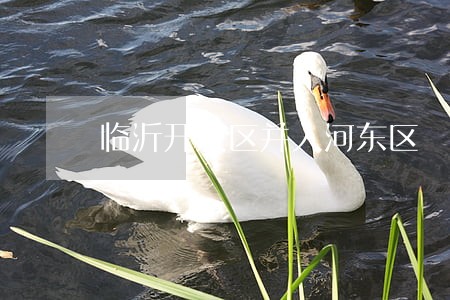 临沂开发区并入河东区 临沂开发区并入河东区