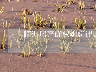 临沂房产确权纠纷律师解答 临沂房产确权纠纷律师解答