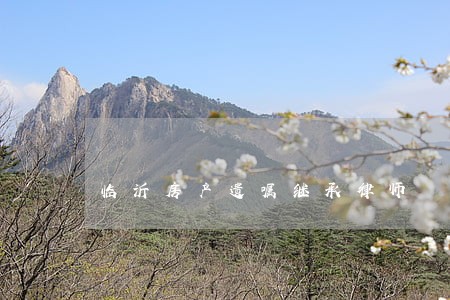 临沂房产遗嘱继承律师