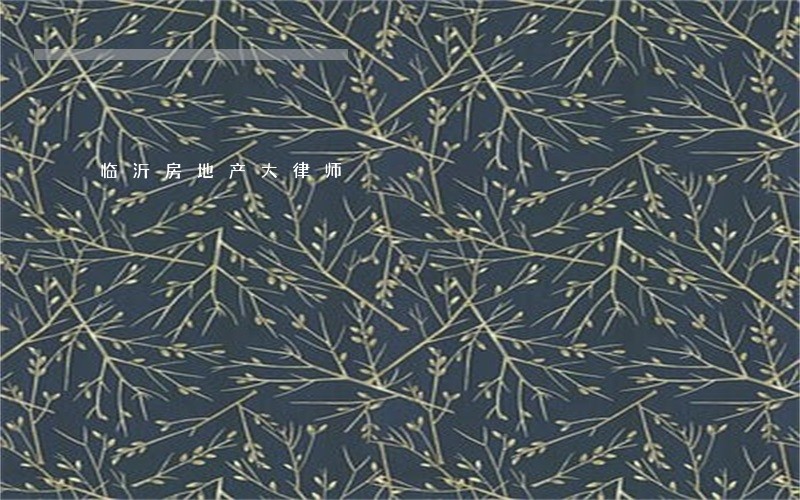 临沂房地产大律师 临沂房地产大律师