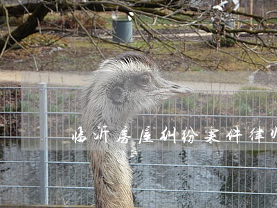 临沂房屋纠纷案件律师 临沂房屋纠纷案件律师