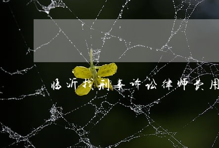 临沂找刑事诉讼律师费用标准