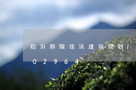 临沂拆除违法建筑规划/2023013102964