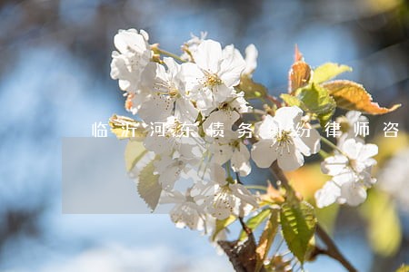 临沂河东债务纠纷律师咨询事务所 临沂河东债务纠纷律师咨询事务所