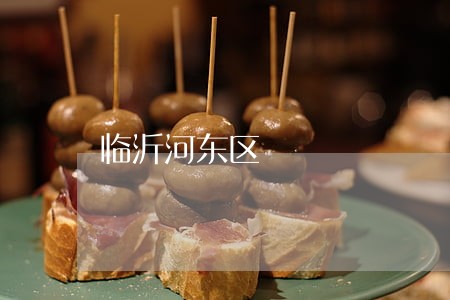 临沂河东区 临沂河东区