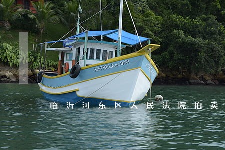 临沂河东区人民法院拍卖公告