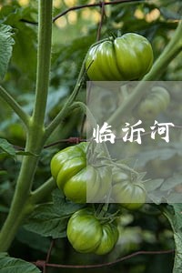 临沂河东区企业法律顾问 临沂河东区企业法律顾问