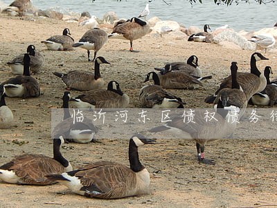 临沂河东区债权债务律师 临沂河东区债权债务律师