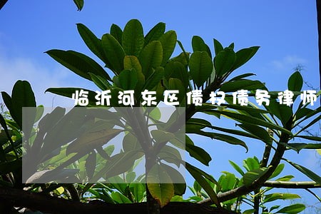临沂河东区债权债务律师服务平台 临沂河东区债权债务律师服务平台