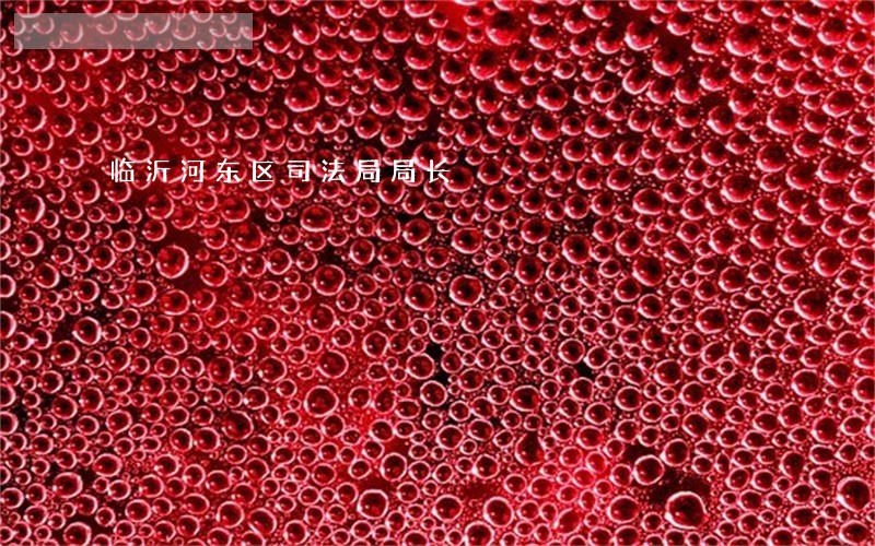 临沂河东区司法局局长