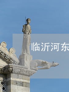 临沂河东房地产律师咨询 临沂河东房地产律师咨询
