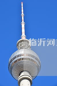 临沂河东相公法院厅长 临沂河东相公法院厅长