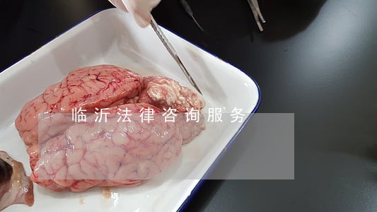 临沂法律咨询服务 临沂法律咨询服务