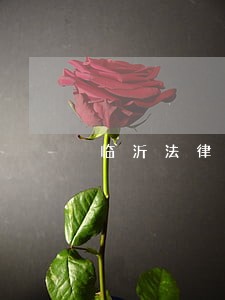 临沂法律咨询电话 临沂法律咨询电话