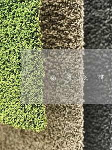 临沂法律咨询选哪家