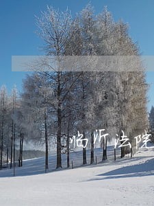 临沂法院于晓东简历