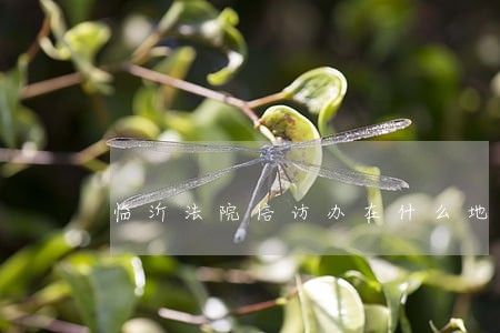 临沂法院信访办在什么地方 临沂法院信访办在什么地方