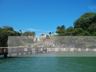 临沂法院司法拍卖平台 临沂法院司法拍卖平台