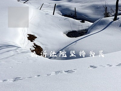 临沂法院坚持为民 临沂法院坚持为民
