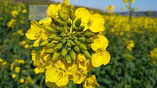 临沂法院执行团队