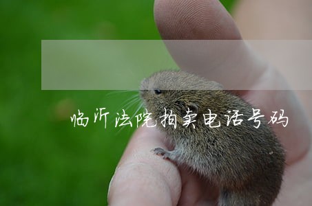 临沂法院拍卖电话号码 临沂法院拍卖电话号码