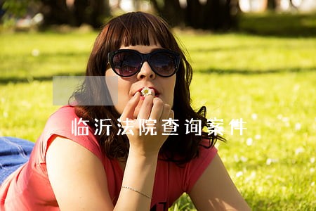 临沂法院查询案件