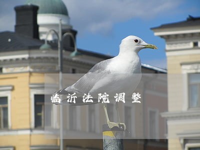 临沂法院调整 临沂法院调整